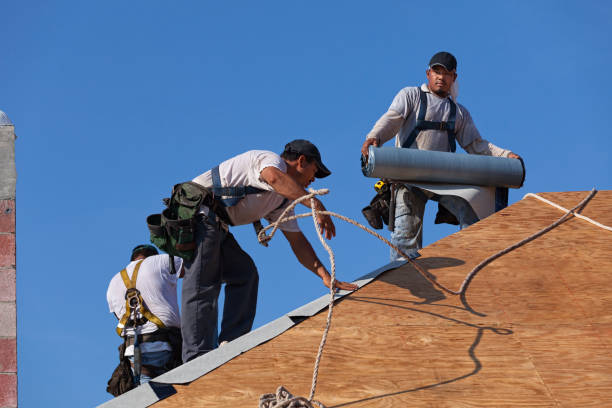 Roof Gutter Cleaning in Boerne, TX